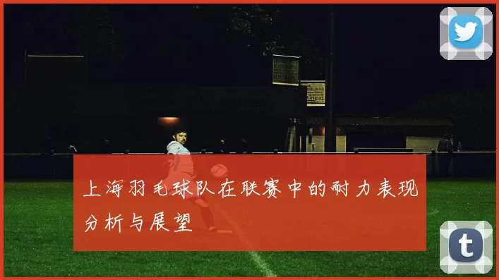上海羽毛球队在联赛中的耐力表现分析与展望