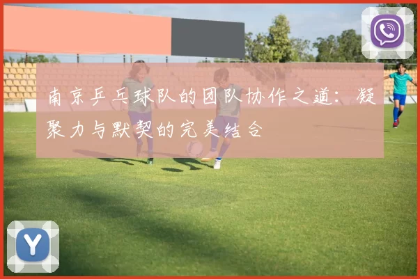 南京乒乓球队的团队协作之道：凝聚力与默契的完美结合