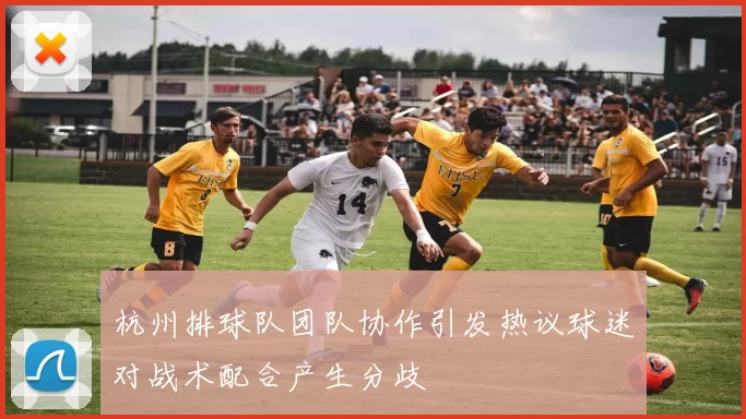 杭州排球队团队协作引发热议球迷对战术配合产生分歧