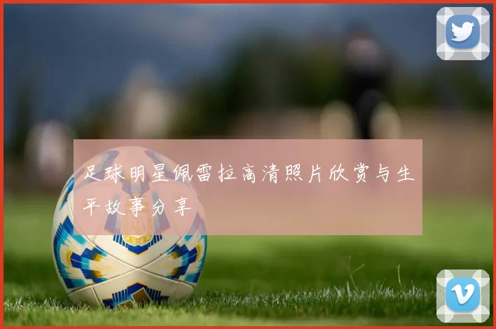 足球明星佩雷拉高清照片欣赏与生平故事分享