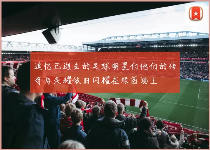 追忆已逝去的足球明星们他们的传奇与荣耀依旧闪耀在绿茵场上
