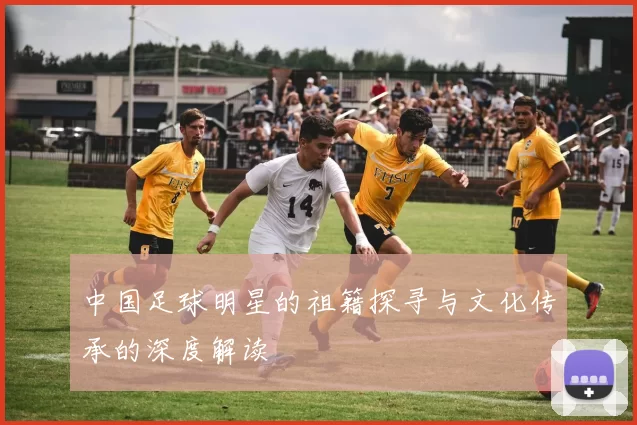 中国足球明星的祖籍探寻与文化传承的深度解读
