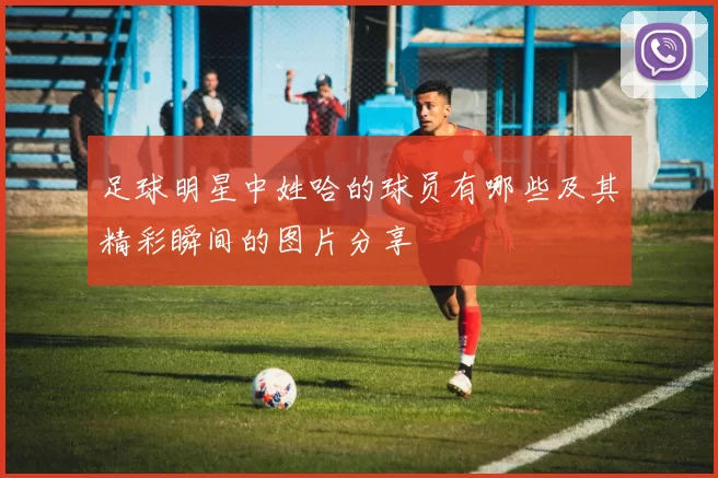足球明星中姓哈的球员有哪些及其精彩瞬间的图片分享