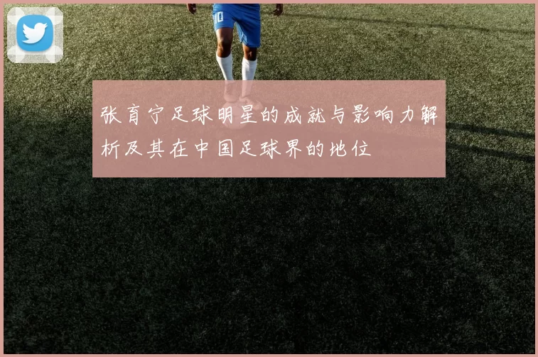 张育宁足球明星的成就与影响力解析及其在中国足球界的地位