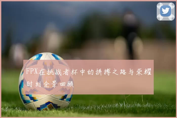FPX在挑战者杯中的拼搏之路与荣耀时刻全景回顾