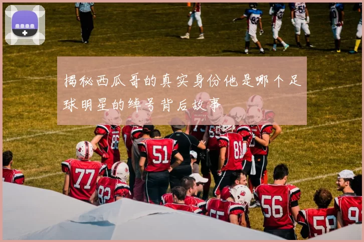 揭秘西瓜哥的真实身份他是哪个足球明星的绰号背后故事