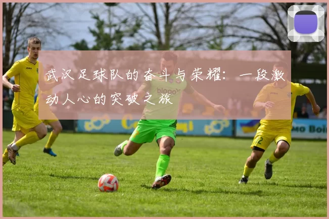 武汉足球队的奋斗与荣耀：一段激动人心的突破之旅