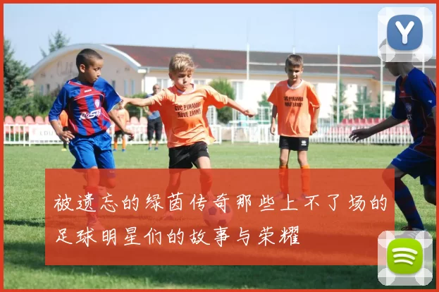 被遗忘的绿茵传奇那些上不了场的足球明星们的故事与荣耀