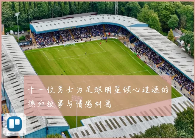十一位男士为足球明星倾心追逐的热血故事与情感纠葛