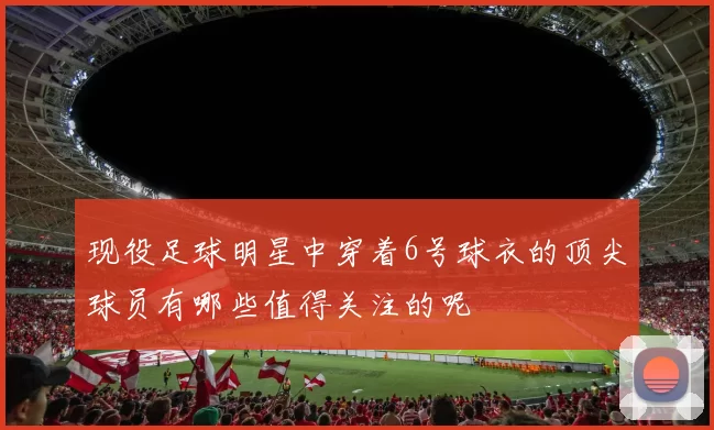 现役足球明星中穿着6号球衣的顶尖球员有哪些值得关注的呢