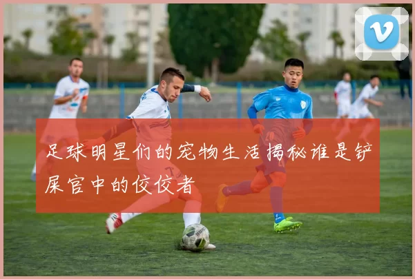 足球明星们的宠物生活揭秘谁是铲屎官中的佼佼者