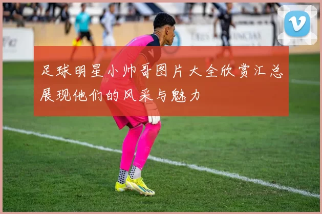 足球明星小帅哥图片大全欣赏汇总展现他们的风采与魅力