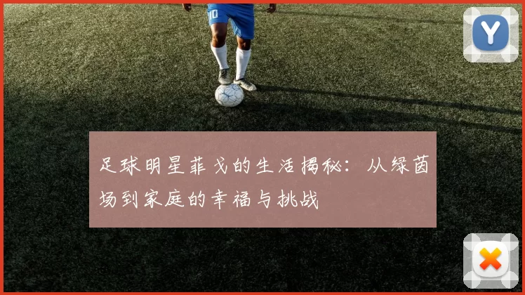 足球明星菲戈的生活揭秘：从绿茵场到家庭的幸福与挑战