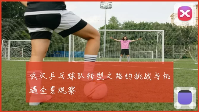 武汉乒乓球队转型之路的挑战与机遇全景观察