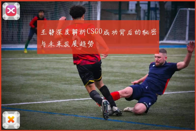 王静深度解析CSGO成功背后的秘密与未来发展趋势
