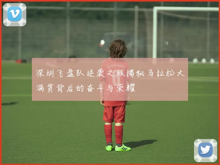 深圳飞盘队逆袭之旅揭秘马拉松大满贯背后的奋斗与荣耀
