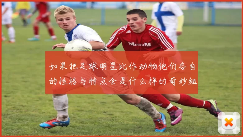 如果把足球明星比作动物他们各自的性格与特点会是什么样的奇妙组合