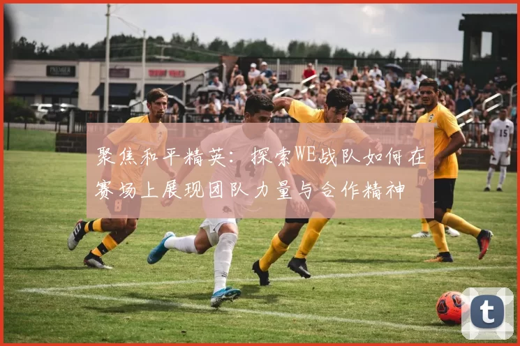 聚焦和平精英：探索WE战队如何在赛场上展现团队力量与合作精神