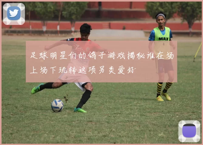 足球明星们的鸽子游戏揭秘谁在场上场下玩转这项另类爱好