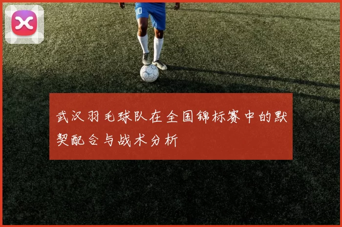 武汉羽毛球队在全国锦标赛中的默契配合与战术分析